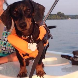 Meet your Posher, Bethany